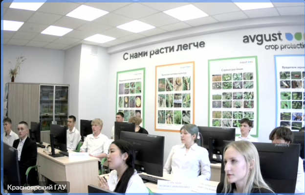 Международная внешняя экспертиза